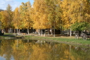 pond autumn trees mosse rack